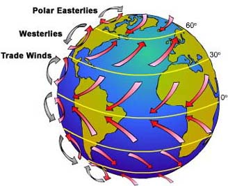 winds westerlies currents easterlies polar quizizz weebly